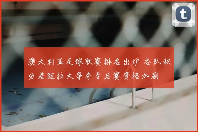 澳大利亚足球联赛排名出炉 各队积分差距拉大争夺季后赛资格加剧