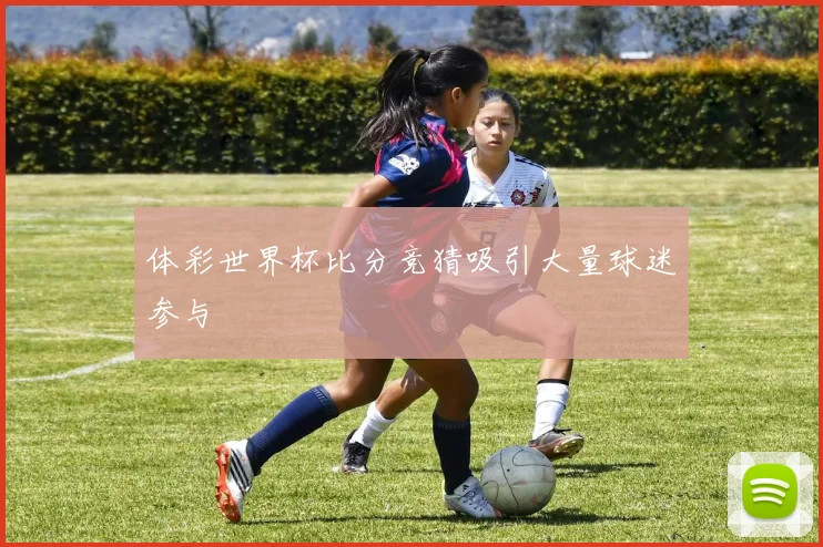 体彩世界杯比分竞猜吸引大量球迷参与