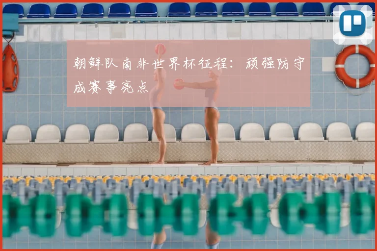 朝鲜队南非世界杯征程：顽强防守成赛事亮点
