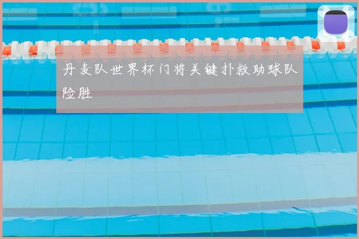 丹麦队世界杯门将关键扑救助球队险胜