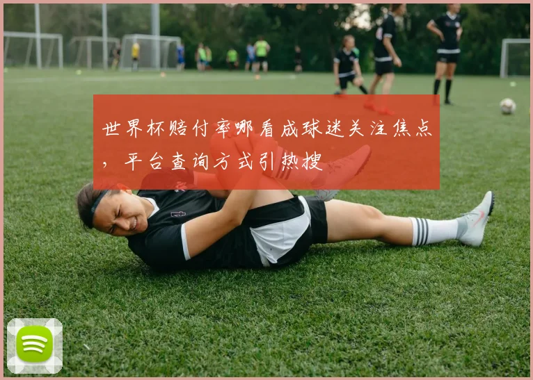 世界杯赔付率哪看成球迷关注焦点，平台查询方式引热搜