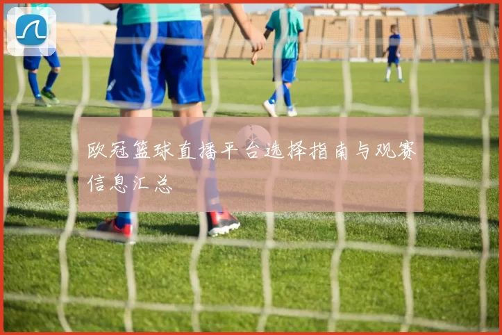 欧冠篮球直播平台选择指南与观赛信息汇总