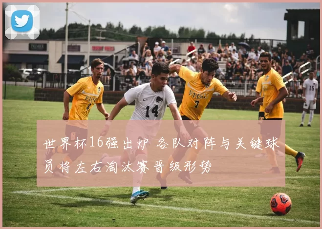 世界杯16强出炉 各队对阵与关键球员将左右淘汰赛晋级形势