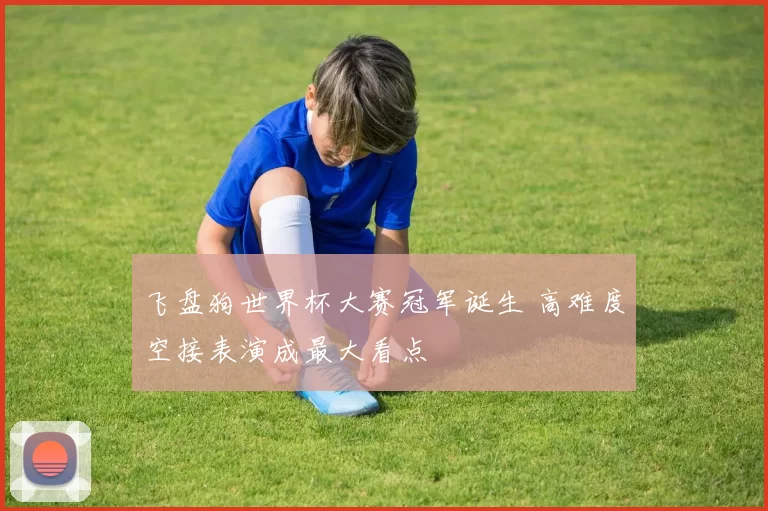 飞盘狗世界杯大赛冠军诞生 高难度空接表演成最大看点