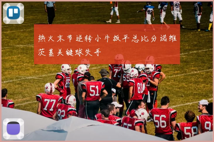 热火末节逆转小牛扳平总比分诺维茨基关键球失手