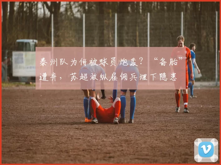 泰州队为何被球员炮轰？“备胎”遭弃，苏超放纵雇佣兵埋下隐患