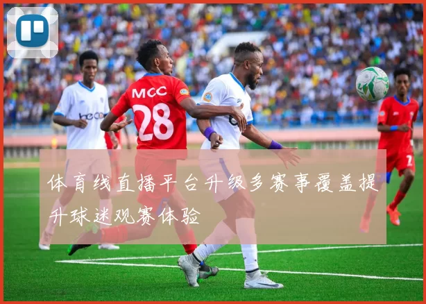 体育线直播平台升级多赛事覆盖提升球迷观赛体验